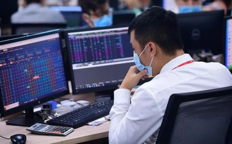 Nhân viên tài chính đang phân tích các chỉ số margin trên màn hình máy tính