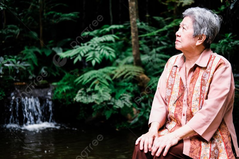 Người lớn tuổi thư giãn trong sân vườn, tận hưởng cuộc sống an nhàn