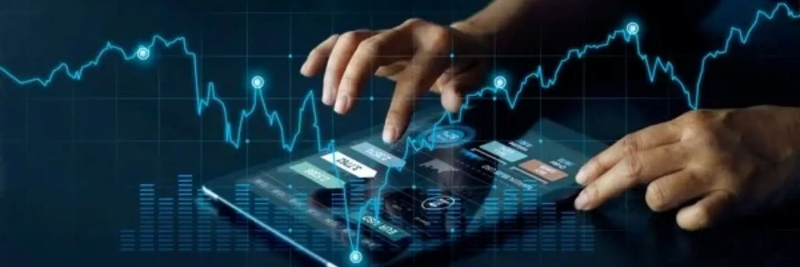 Nhà đầu tư Việt Nam phân tích biểu đồ lãi suất kép