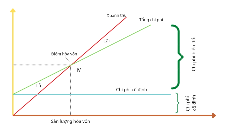 Lợi nhuận thuần và lợi nhuận gộp