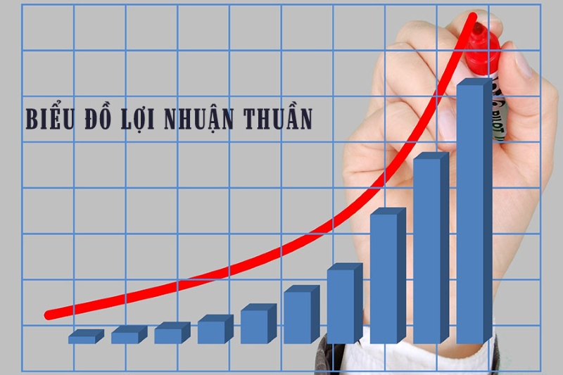 Biểu đồ minh họa lợi nhuận thuần