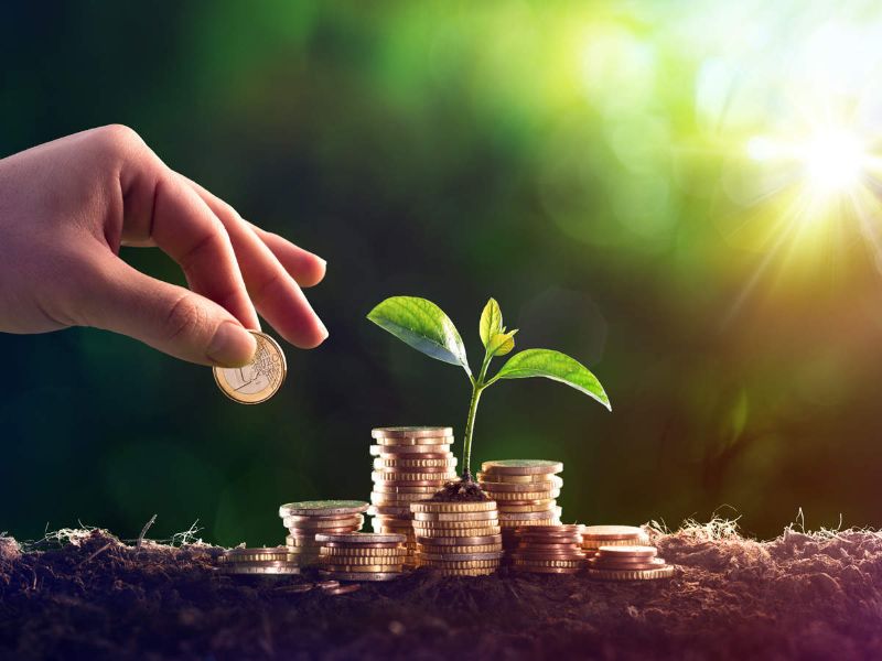 Các quỹ đầu tư cá nhân phổ biến hiện nay